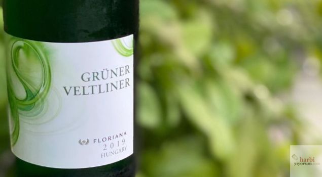 Grüner Veltliner 2019 şişesi. Etikette beyaz zemin üzerine yeşil dalgalı desenler ve 'Floriana 2019 Hungary' yazısı görülüyor. Arka planda yapraklarla dolu bir doğal çevre bulunuyor.