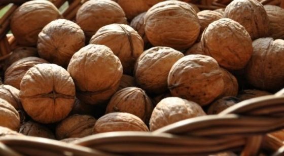 Cevizin İnsan Sağlığı Üzerindeki Etkileri