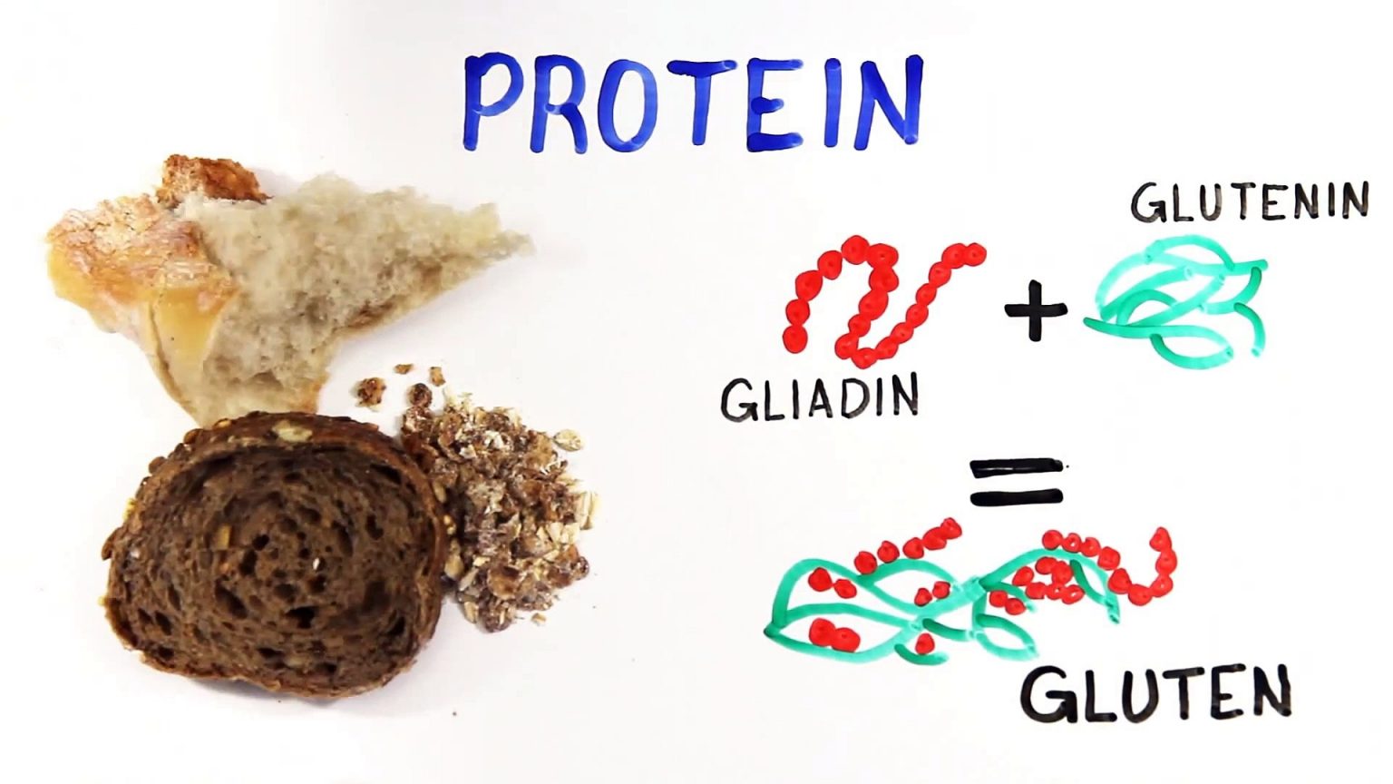 Gluten Nedir? Gluten Hassasiyeti Nedir? Glutensiz Nasıl Beslenilir?