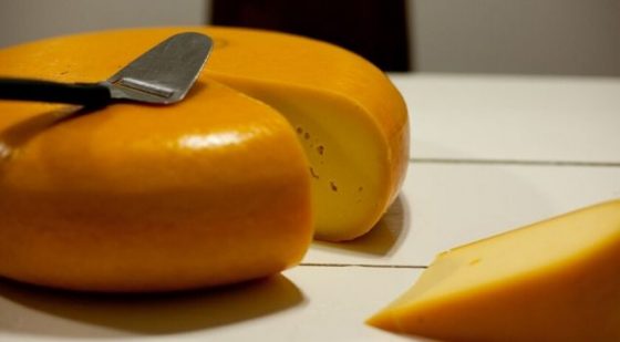 gouda peyniri