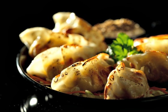 gyoza-mantisi