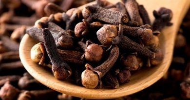 Karanfil Nedir? Tarihe Nasıl Yön Vermiştir? karanfil nedir