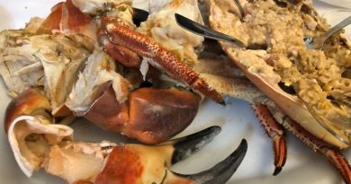 Portekiz Lizbon’un En İyi 7 Restoranı – 2019 Portekiz Lizbon’un En İyi 7 Restoranı – 2019