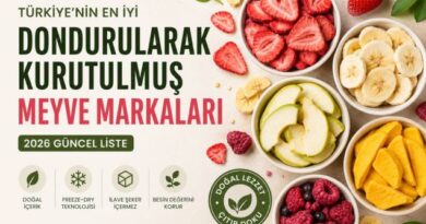 Türkiye’nin En İyi Dondurularak Kurutulmuş Meyve Markaları (2026)