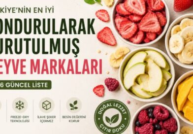 Türkiye’nin En İyi Dondurularak Kurutulmuş Meyve Markaları (2026)